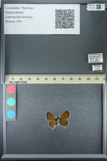Media type: image;   Entomology 185280